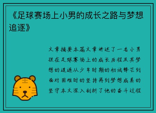 《足球赛场上小男的成长之路与梦想追逐》
