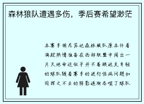 森林狼队遭遇多伤，季后赛希望渺茫