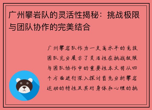 广州攀岩队的灵活性揭秘：挑战极限与团队协作的完美结合